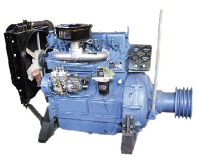 Diesel Engine (YX495G)