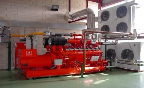 Green Energy Biofuel Biogas Generator Set