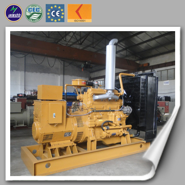 Eco Power Generation Natural Gas/Biogas/Biomass Generator