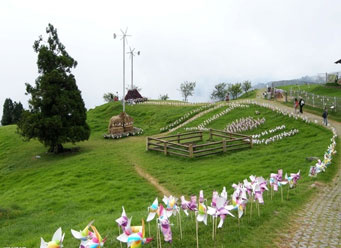 Wind Turbine Generator System for Vallige Use (MS-WT-1500)