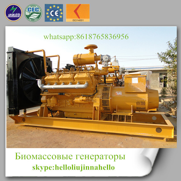 Standard CE Approved Bimass Generator with Best Price 10-600kw