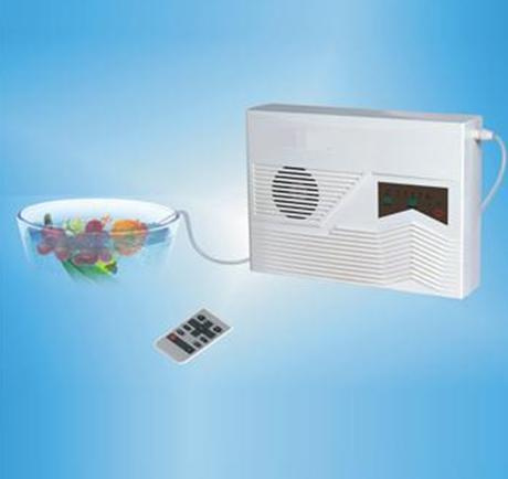 Fruit-Vegetable Ozone Generator 400mg/H 600 MG/H