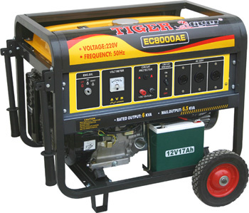 6kw Generator (EC8000AE)