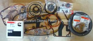 4089391 Lower Engine Gasket for Cummins Engine Parts