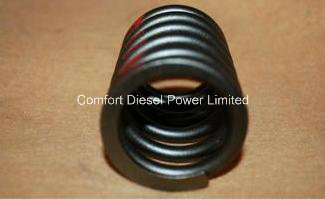 3629007 Spring Valve for Cummins Engine Parts