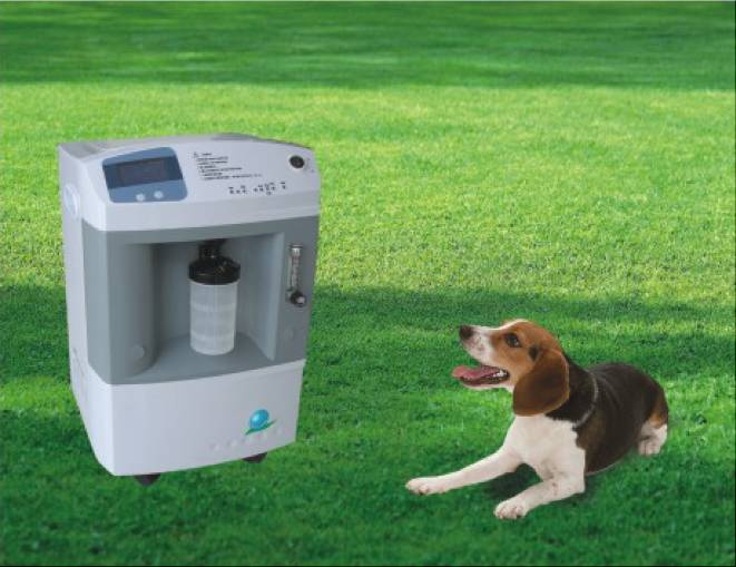 Veterinary Oxygen Concentrator