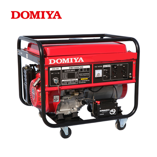 Single Phase Gasoline Generator (DM7500CXD)