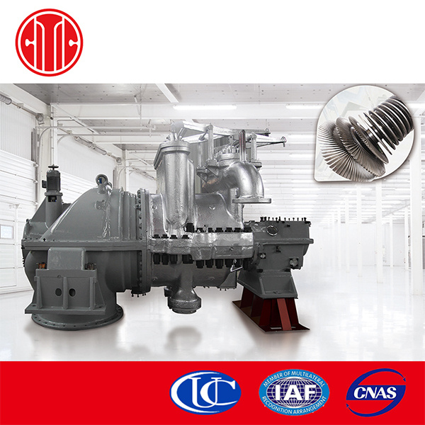 Biogas Steam Generator with Generator