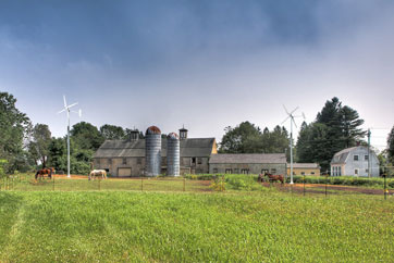 Wind Turbine Generator 1.5kw for Farm Used (MS-WT-1500)