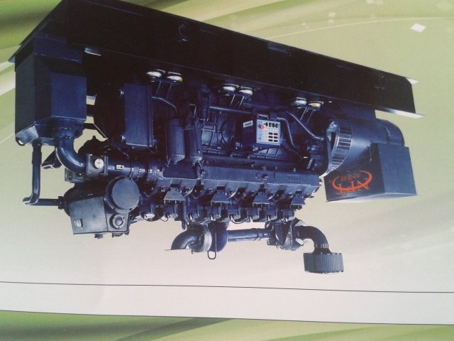 350kw Biogas Generator Set