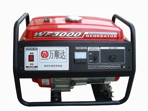 2.8kw Gasoline Generator (WF3000)