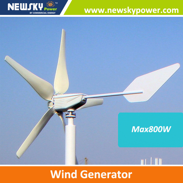 China Small 1000W 1kw 1200W Wind Turbine for Home Use