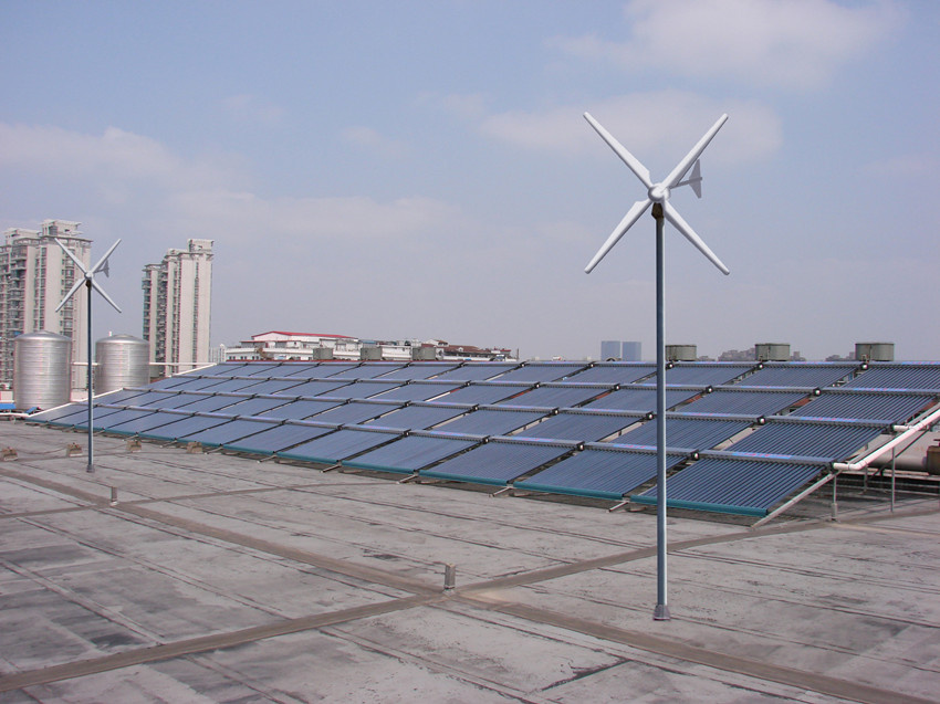 Wind Power House Generator for Home Used (MS-WT-10000 Turbine)