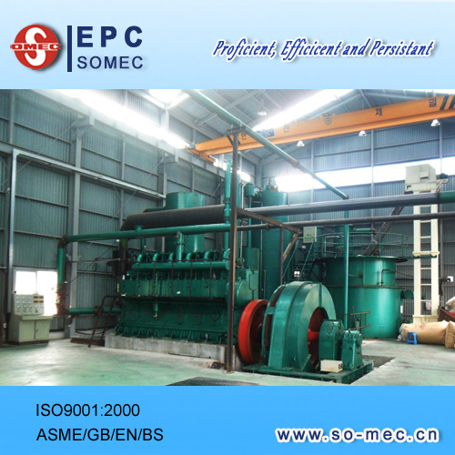 Biomass Gasification Power Plant