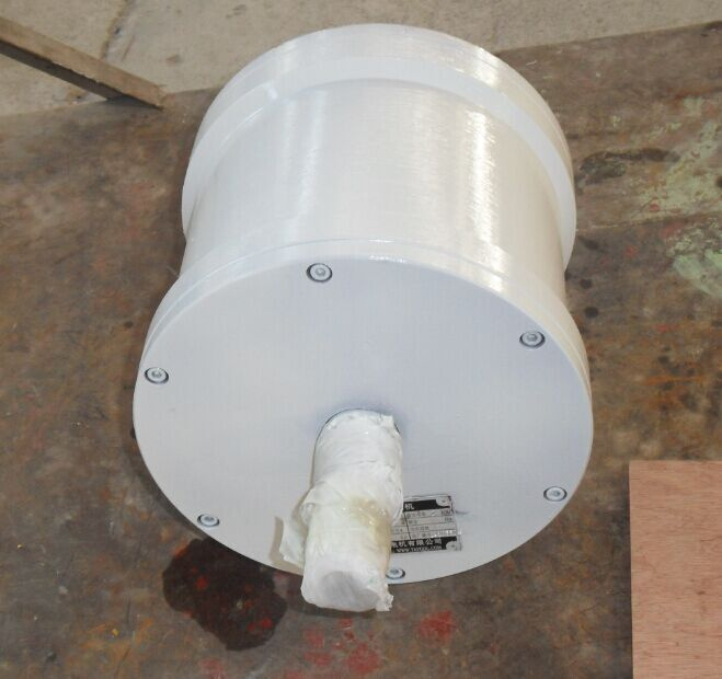 1kw High Effciency Permanent Magnet Generator/Wind Generator