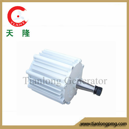 Ffl-100W/200r/DC14V Permanent Magnet Alternator (PMG/PMA/Hydro)