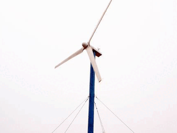 Wind Turbine Generator (FD5000W)