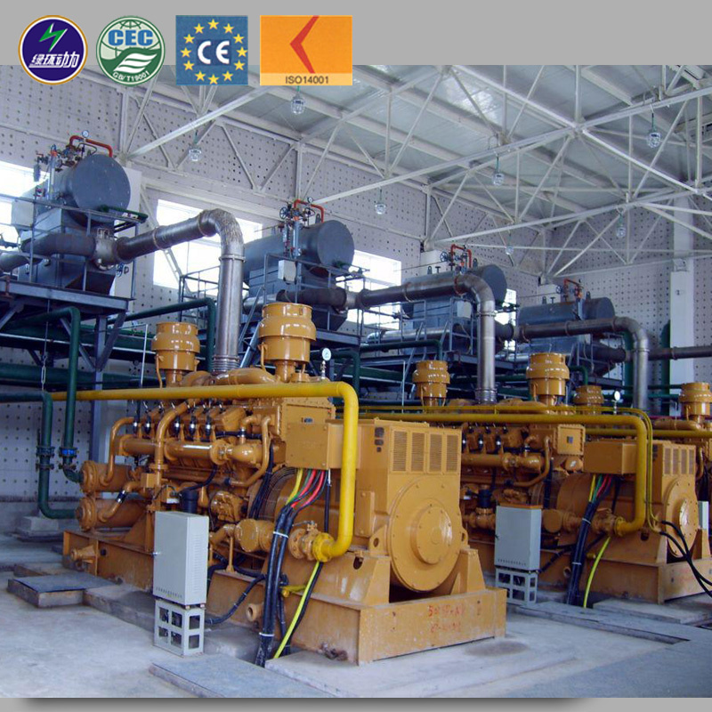 Factory Price 10kw -1000kw Biogas Cogeneration Biogas Generator for Sale
