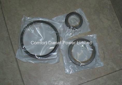 215090 O-Ring for Cummins Nta855 Engine Parts