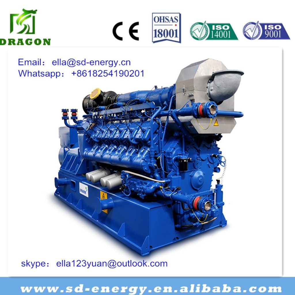 2016 Methane Biogas Power Generator