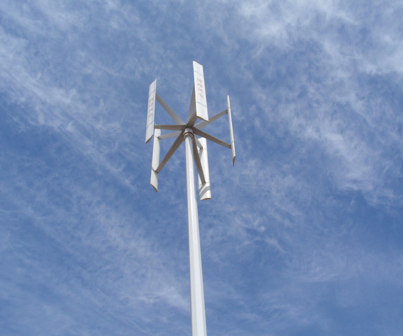 1kw 24V/48V Wind Generator/Wind Turbine