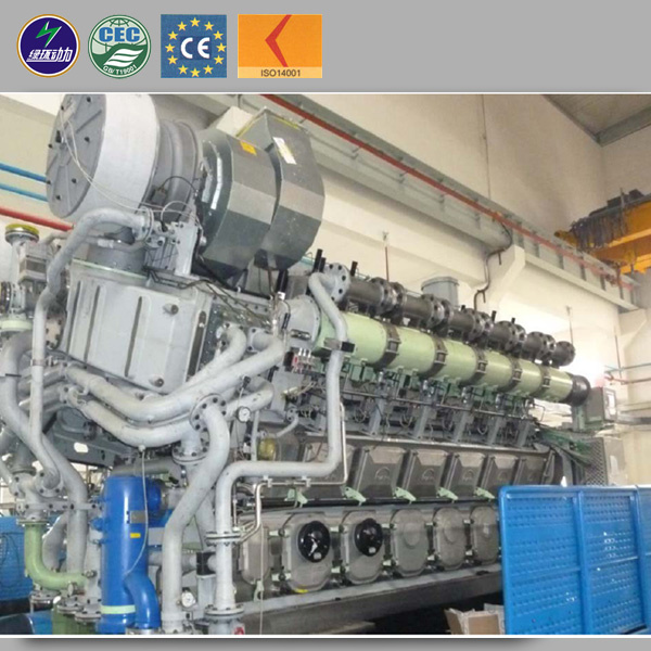 High Quality Biogas Power Generator