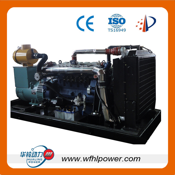 Natural Gas Generator Manufacturer