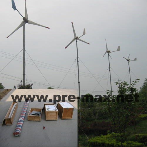 Wind Turbine (1000W)