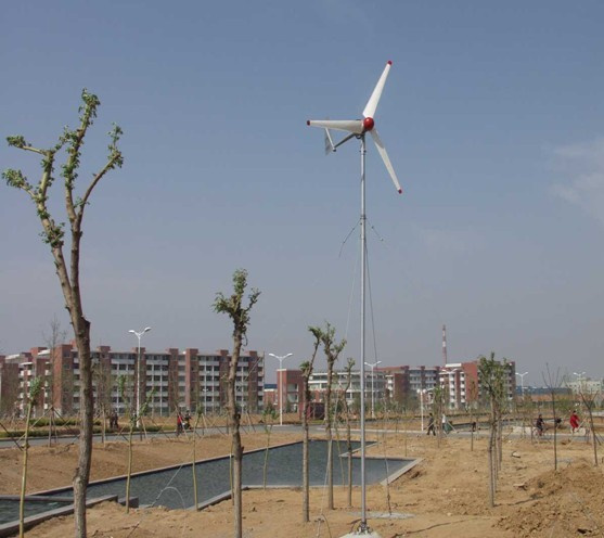 600W Wind Turbines