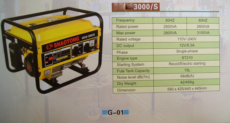 Gasoline Generator
