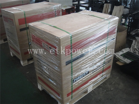 Oridinary Using 5kw Silent Diesel Generator