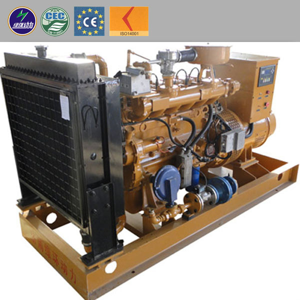 Pipeline Natural Gas Generator, Natural Gas Genset (10kw - 1100kw)