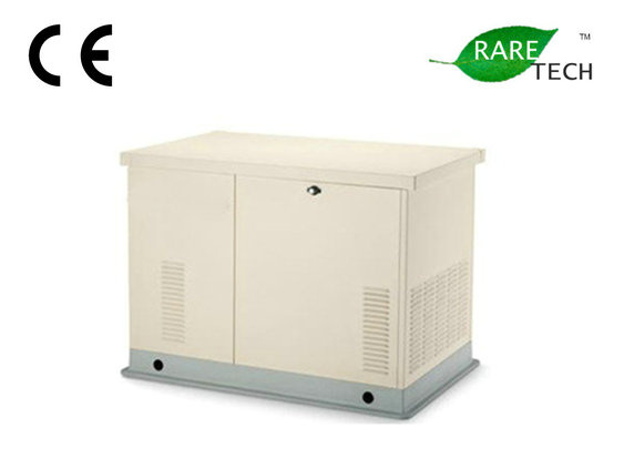 Natural Gas Generator 30kw (RTS, RTT, RTI, RTC)