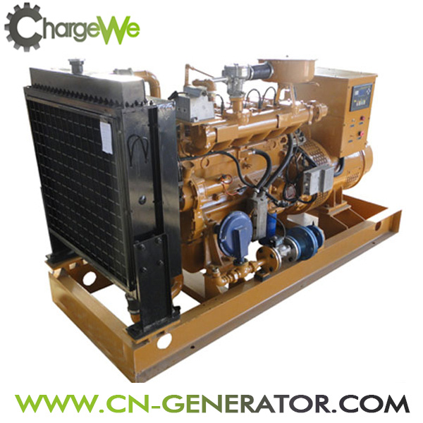 China Brand Biogas Biomass Gas Natural Gas Generator Set (20-100kw)