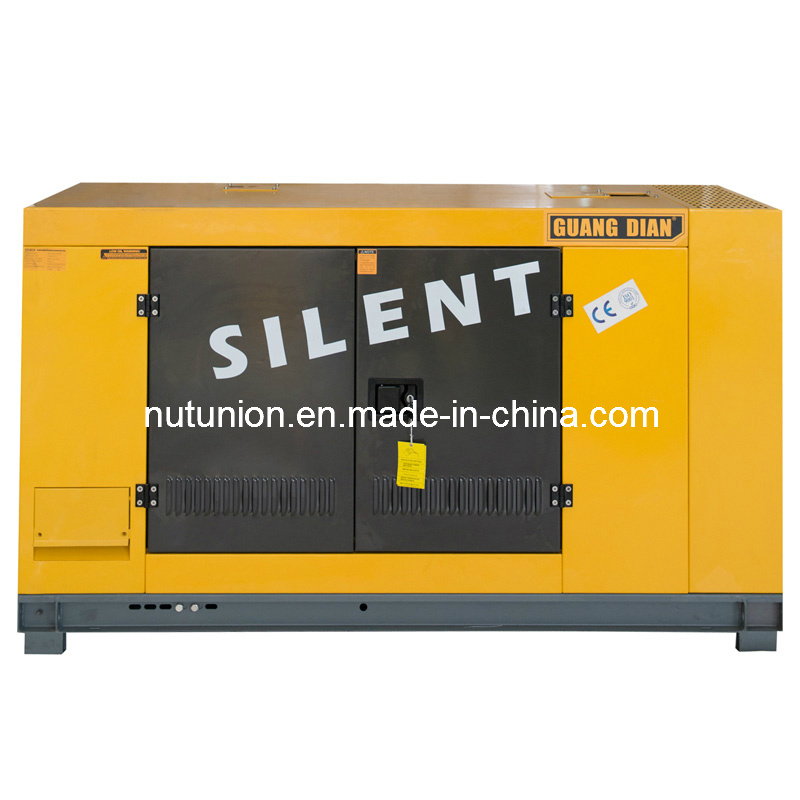 Professional Generator