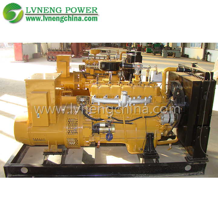 OEM Approved Biogas Power Generators