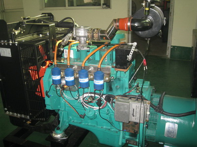 Cummins Gas Power Generator Set