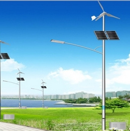 Wind Solar Hybird Turbine Generator with Street Light (SP-WSR001)