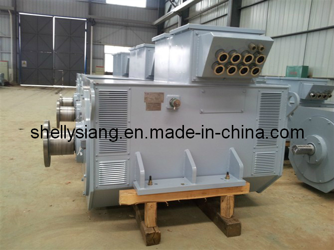 Low Speed Hydro Generator for Turbine (IFC6 562-10 670kw/600rpm)