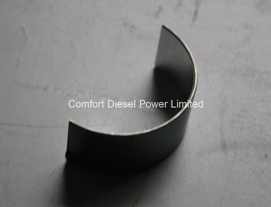 Cummins Engine Parts Bearing 3969562