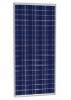 300W Poly Solar Module (RS300W)