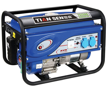 Gasoline Generator (TS2500C)