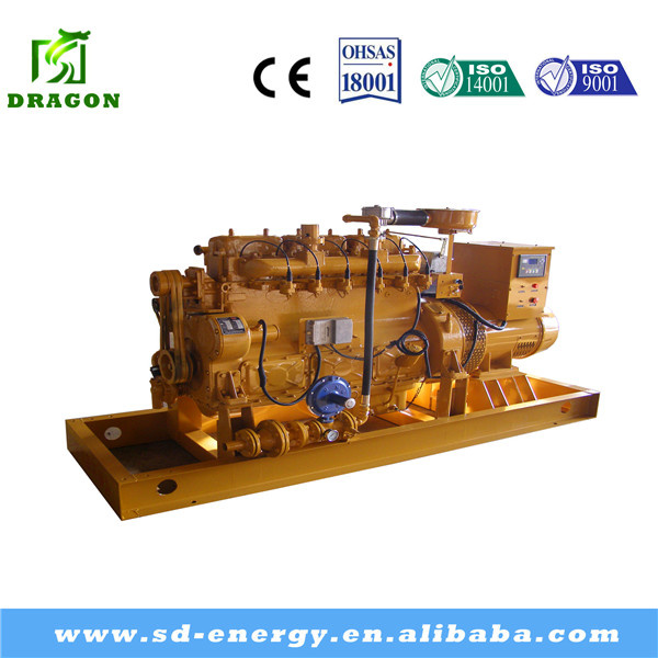 China High Quality Biogas Generator