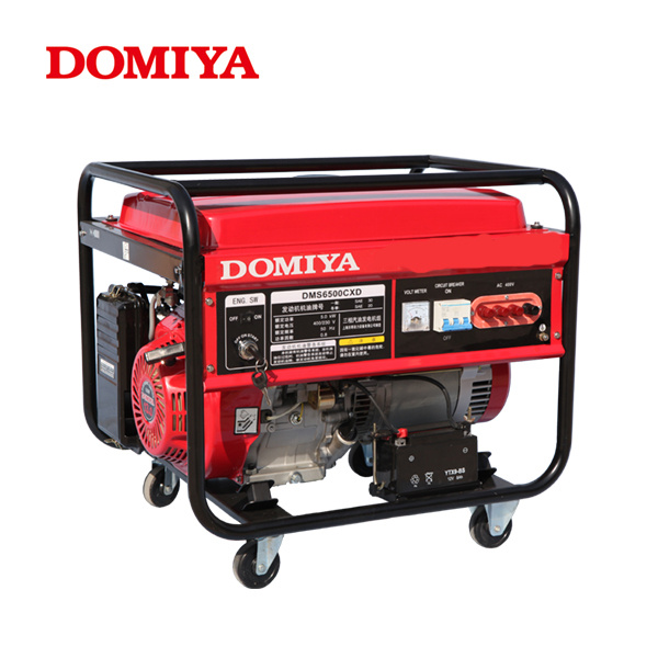 Three Phase Gasoline Generator (DMS6500CXD)