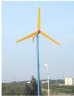 Wind-Driven Generator 3000W