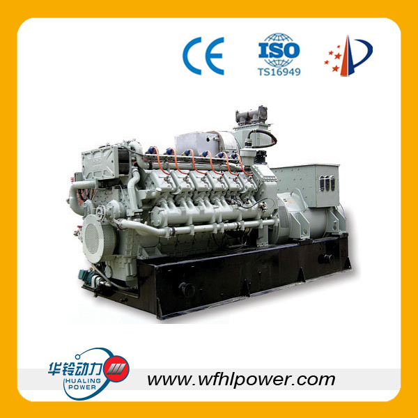 25-800kw Biogas Generator (HL)