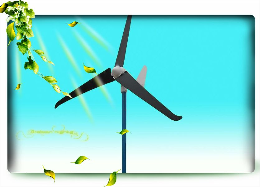 600W Windgenerator