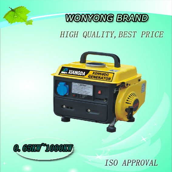 Home Use Gasoline Generator (WY950DC)