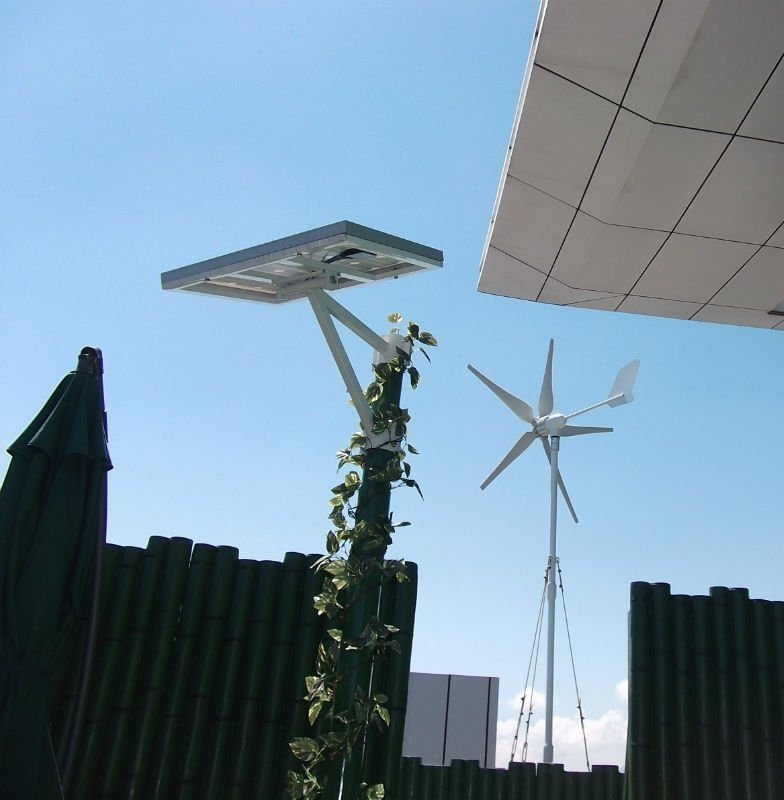 Popular 400W Wind Turbine/Generator City Swallow for Street Lamp