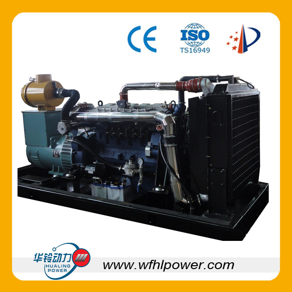 Open Natural Gas Generator Set